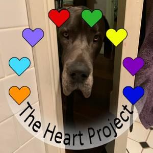 Meet your Posher, Polly anna